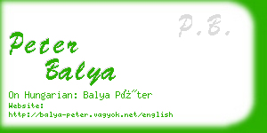 peter balya business card